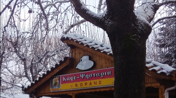 Ταβέρνα "ο Κοραής" , Ζάχολη · Φωτογραφίες 3